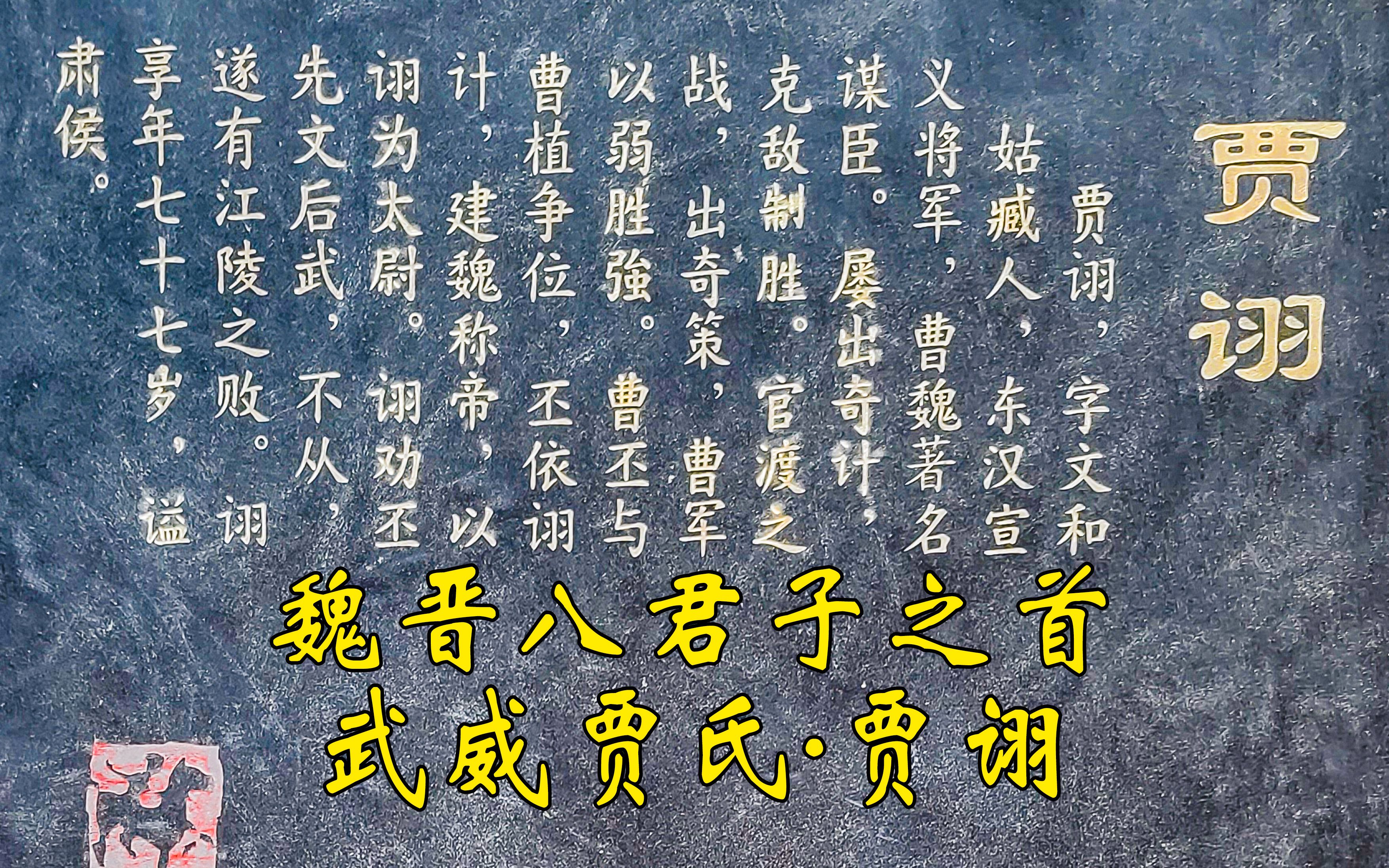 武威古代历史上最聪明的人,魏晋八君子之首贾诩【武威大马文化】【凉州历史】【凉州学】【西北胜族】【河西走廊】【武威大马文化说三国】哔哩哔哩...