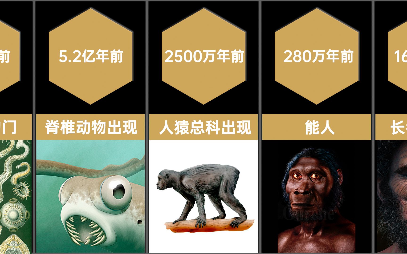 对比数据:人类的进化,从宇宙诞生到如今的现代人