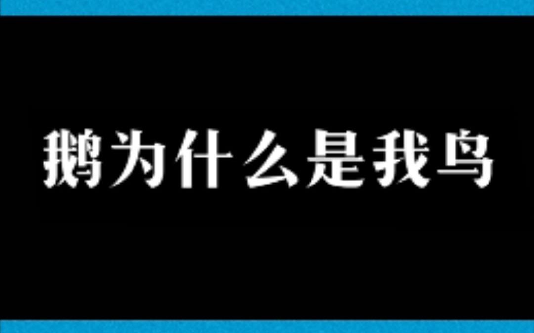 你知道“鹅”字有四种写法吗?哔哩哔哩bilibili