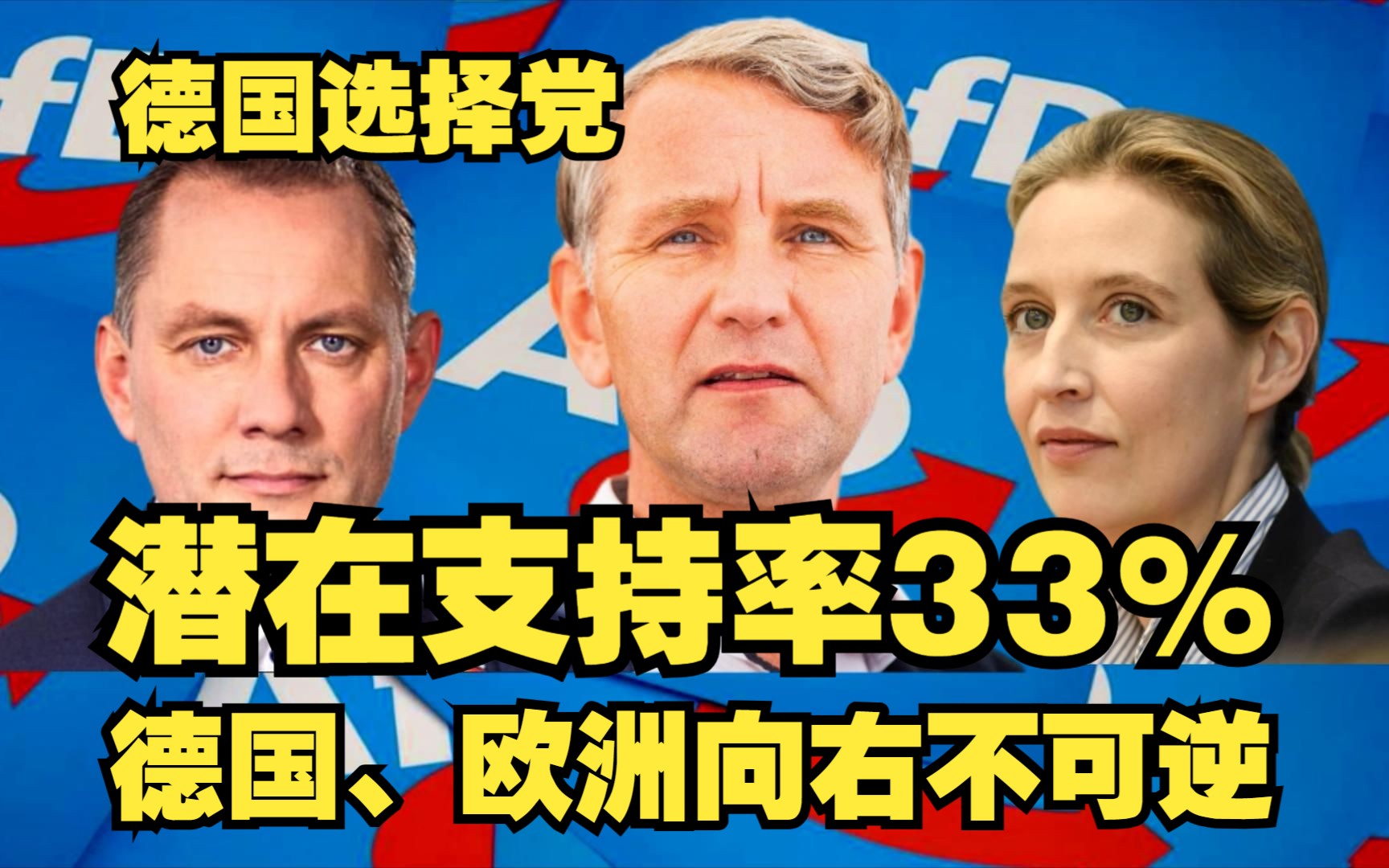 德国选择党AfD潜在支持率高达33%!德国右翼的崛起!选择党会执政吗?哔哩哔哩bilibili