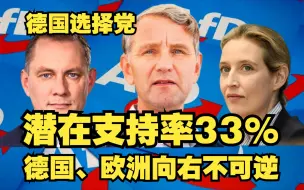 Download Video: 德国选择党AfD潜在支持率高达33%！德国右翼的崛起！选择党会执政吗？