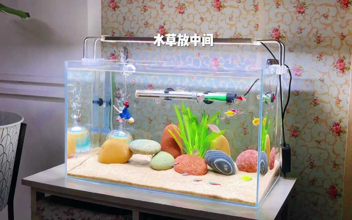 新手养鱼必看,简单实惠又好看的鱼缸造景.