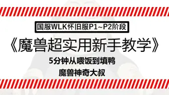 Download Video: 神奇大叔WLK新手教学，练级天赋/手法/宏/插件/吃排骨硬核干货喂饭攻略