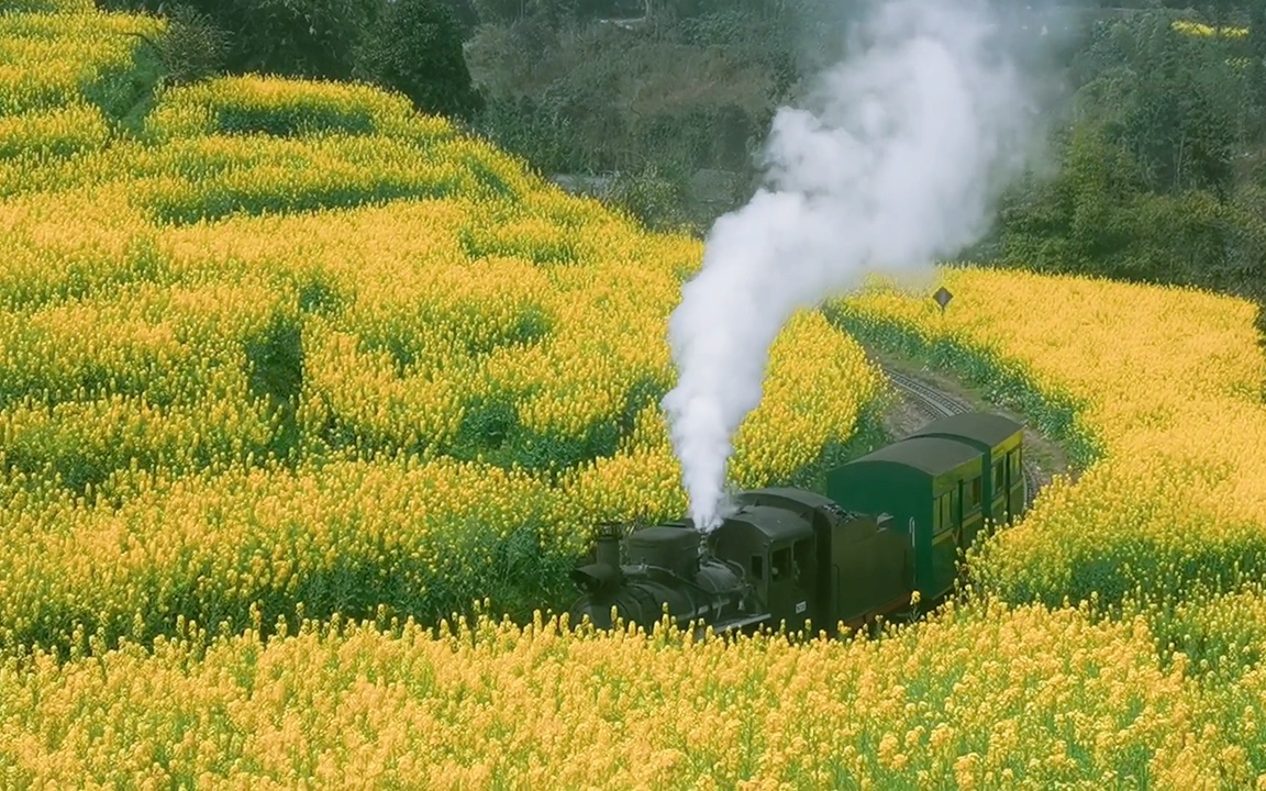 来跟着世界上唯一还在运行的蒸汽火车—嘉阳小火车一起来感受春日阳光