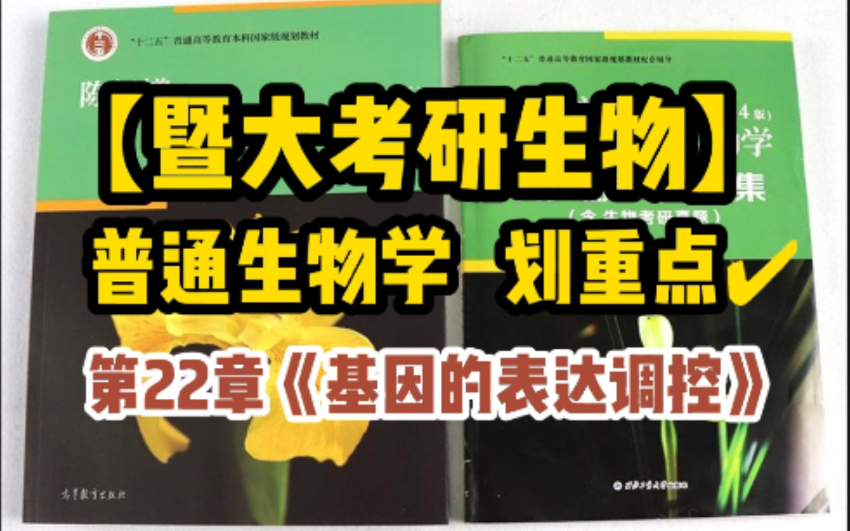 【暨南大学生物考研】普通生物学划重点:第22章《基因表达调控》哔哩哔哩bilibili