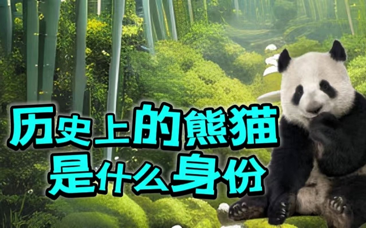 古代的大熊猫是什么身份呢?原来千年以前它就是睦邻友好的象征了