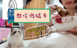 自然志之天使猫 哔哩哔哩 つロ干杯 Bilibili