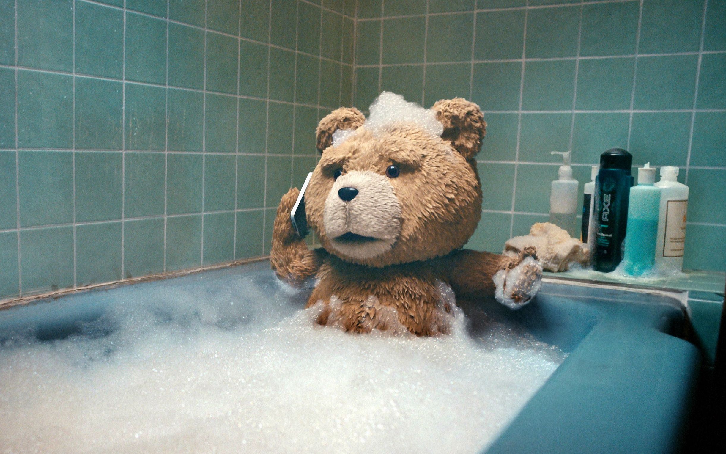 泰迪熊喔图片