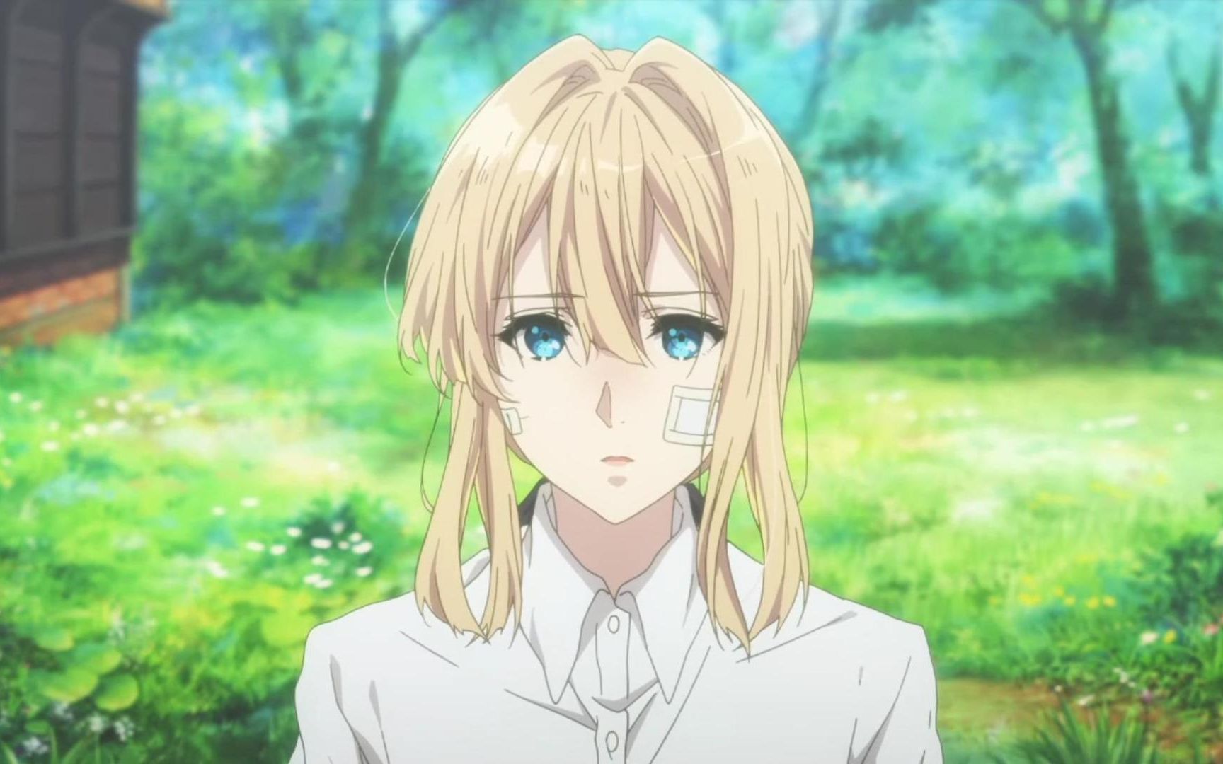 紫罗兰的秘密花园不要忘记我爱你