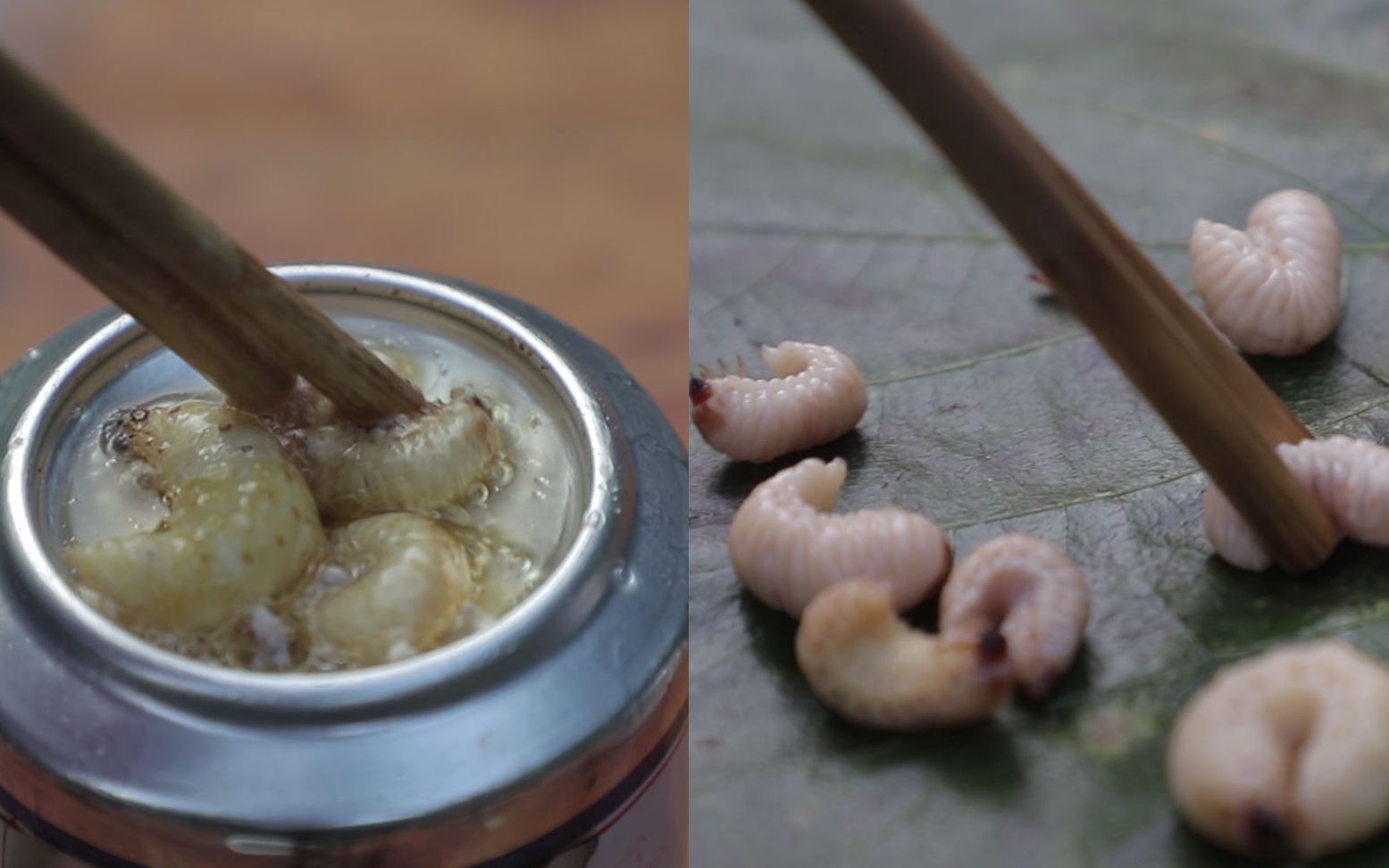 乡野网事:农民户外搞野,用易拉罐油炸虫子,堪称人间第一美食,你敢吃吗