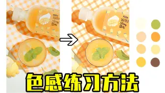 如何利用照片做色感练习？【绘画学习|板绘教程|零基础|画法技巧入门】
