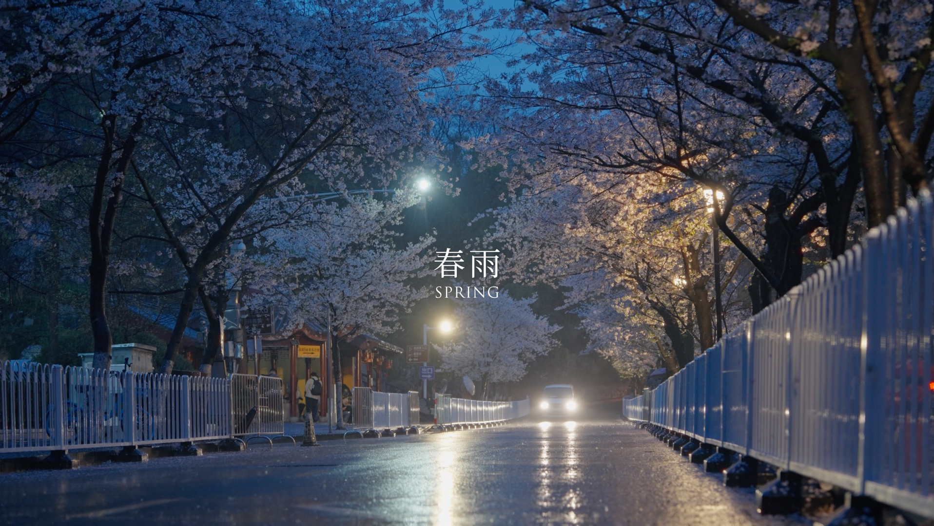 在雨里，听完一座城市的四季