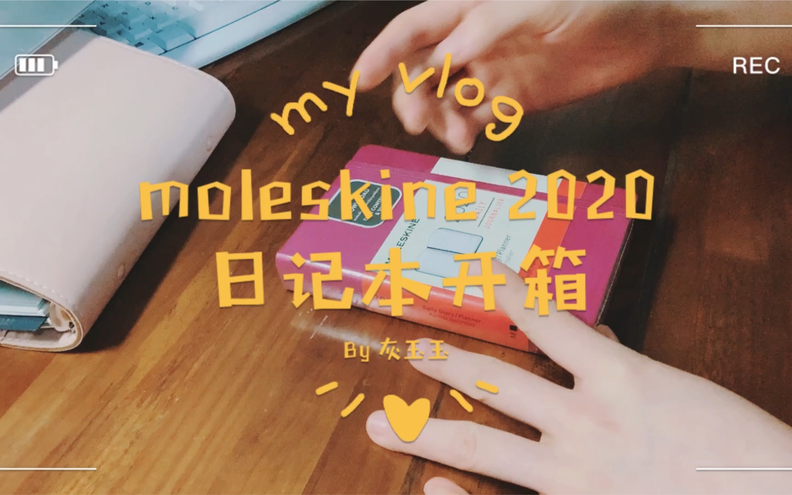 [图]手帐鱼 vol.2/ 全程字幕/400页日记本？一块粉色小砖头？/moleskine 2020日记本开箱！