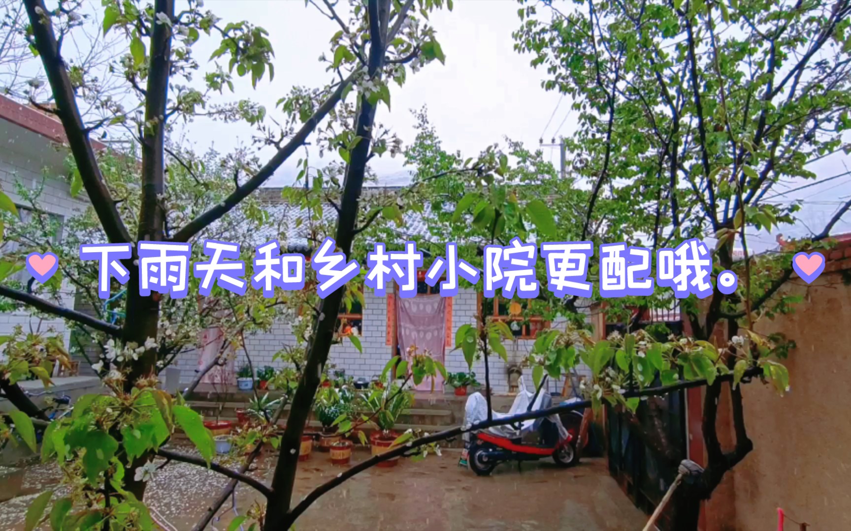 [图]小时候很喜欢雨天时空气中泥土的清香，长大后才发现那是故乡、是童年。