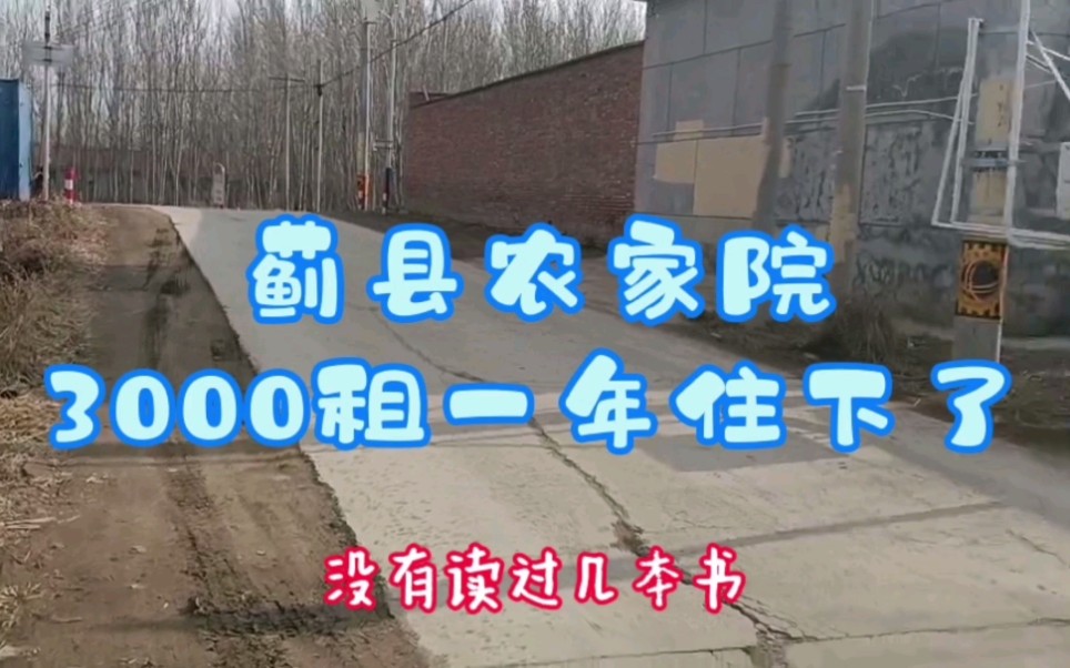 在天津蓟县花了3000一年租了个农家院,院子里有个高高的大树!哔哩哔哩bilibili