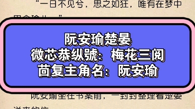 《阮安瑜楚晏》又名《阮安瑜楚晏》爽文推荐必读阮安瑜楚晏哔哩哔哩bilibili