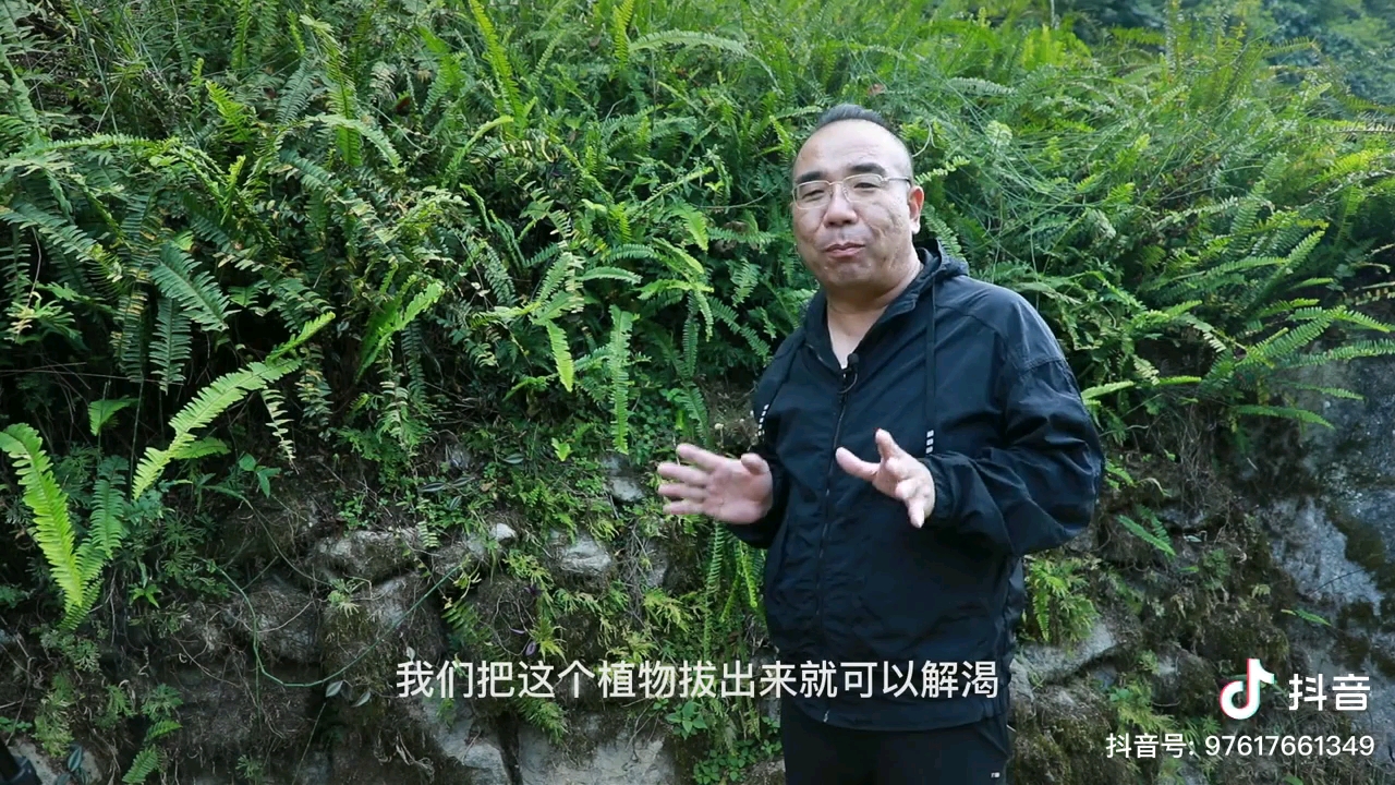 [图]辽宁电视台超级大骗子孙本新在广西十万大山对珍贵中草药及稀有草药胡说八道并洗脑当地村民名场面