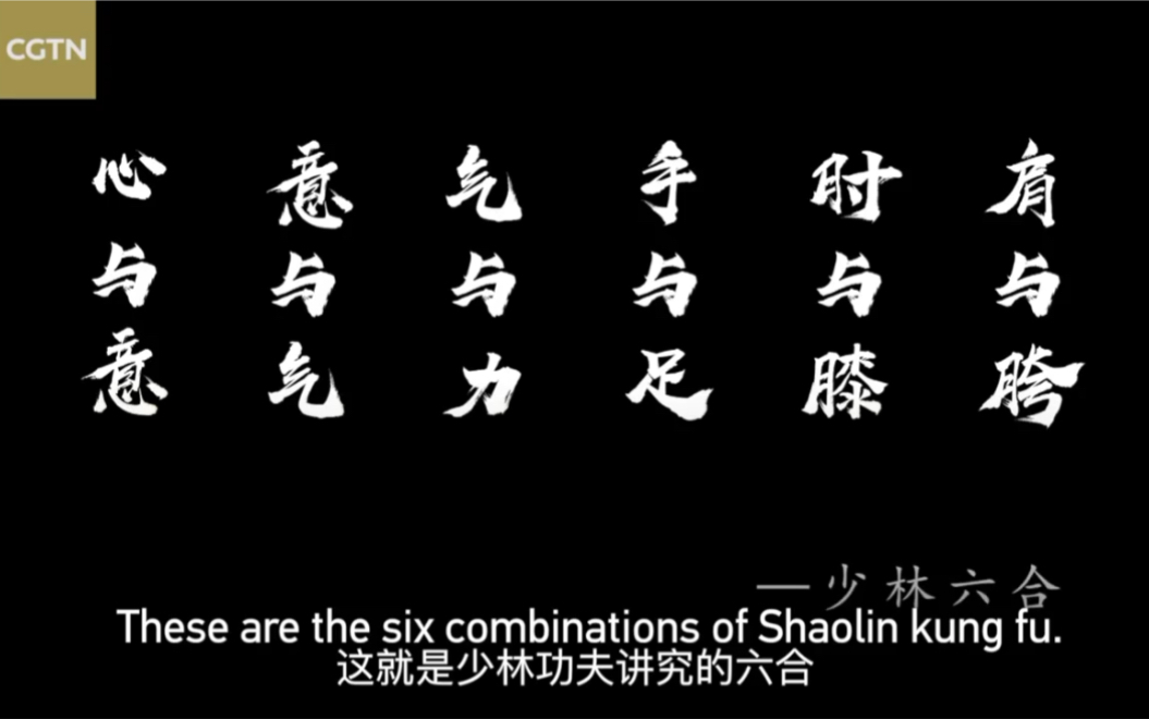 【特别节目】《中国功夫ⷵ分钟了解传统武术种类》51P合辑 CGTN中国国际电视台 14亿分之一哔哩哔哩bilibili