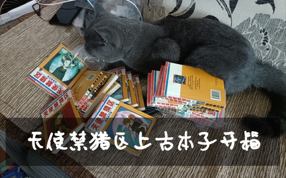 [图]天使禁猎区上古本子开箱