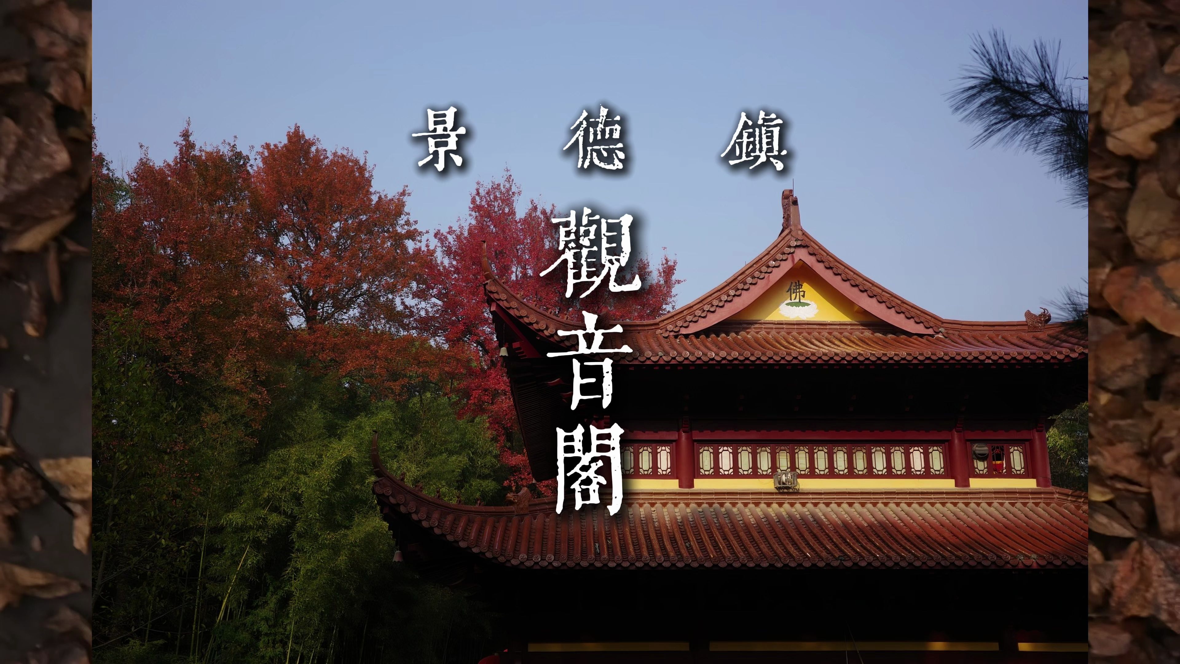 景德镇观音阁 │ 寺庙爱好者的定期巡礼,枫树已红,山高水长