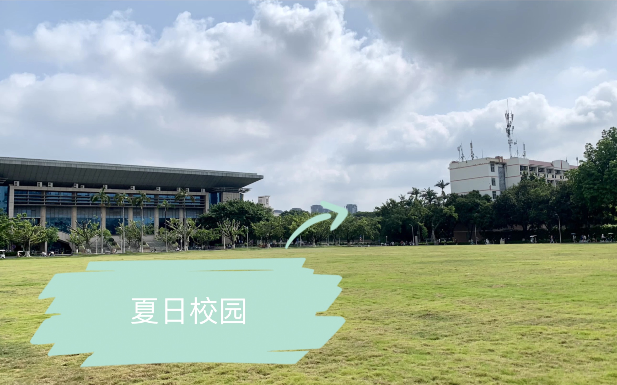 摄影|校园 大学校园里同样充满生活气息