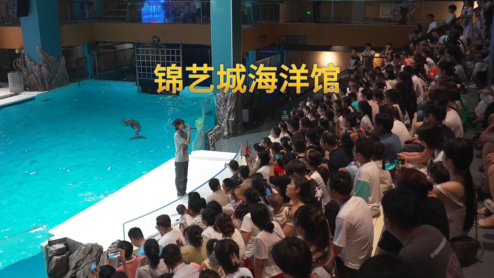 郑州摄影师李赵明镜头下的锦艺城海洋馆