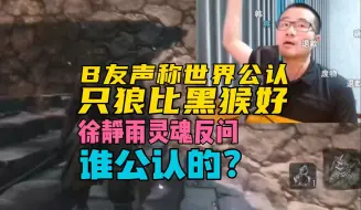 Descargar video: 全球公认！黑神话82分，只狼90分！徐静雨：谁公认的？我反正不承认！