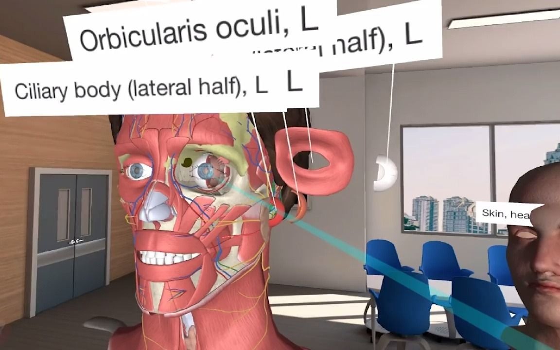 the worlds first fully-featured virtual reality anatomy a