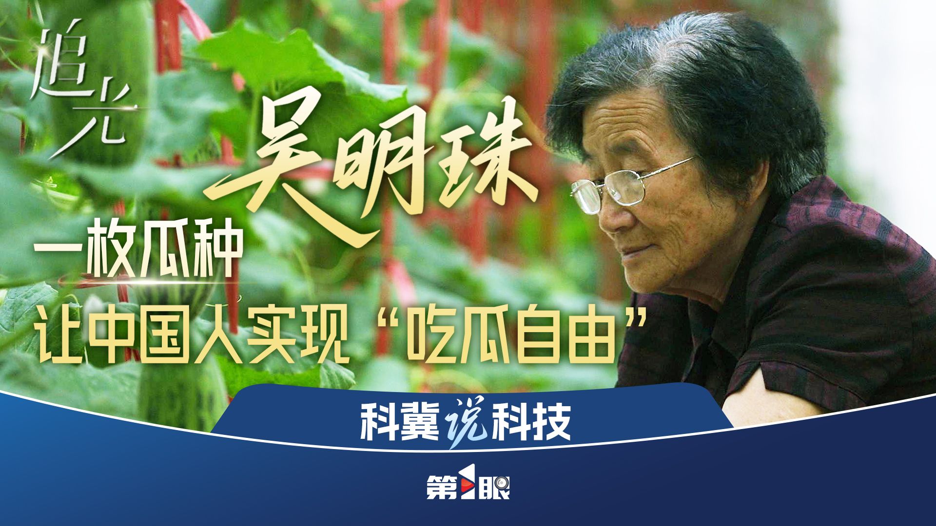 吴明珠：一枚瓜种 让中国人实现“吃瓜自由”