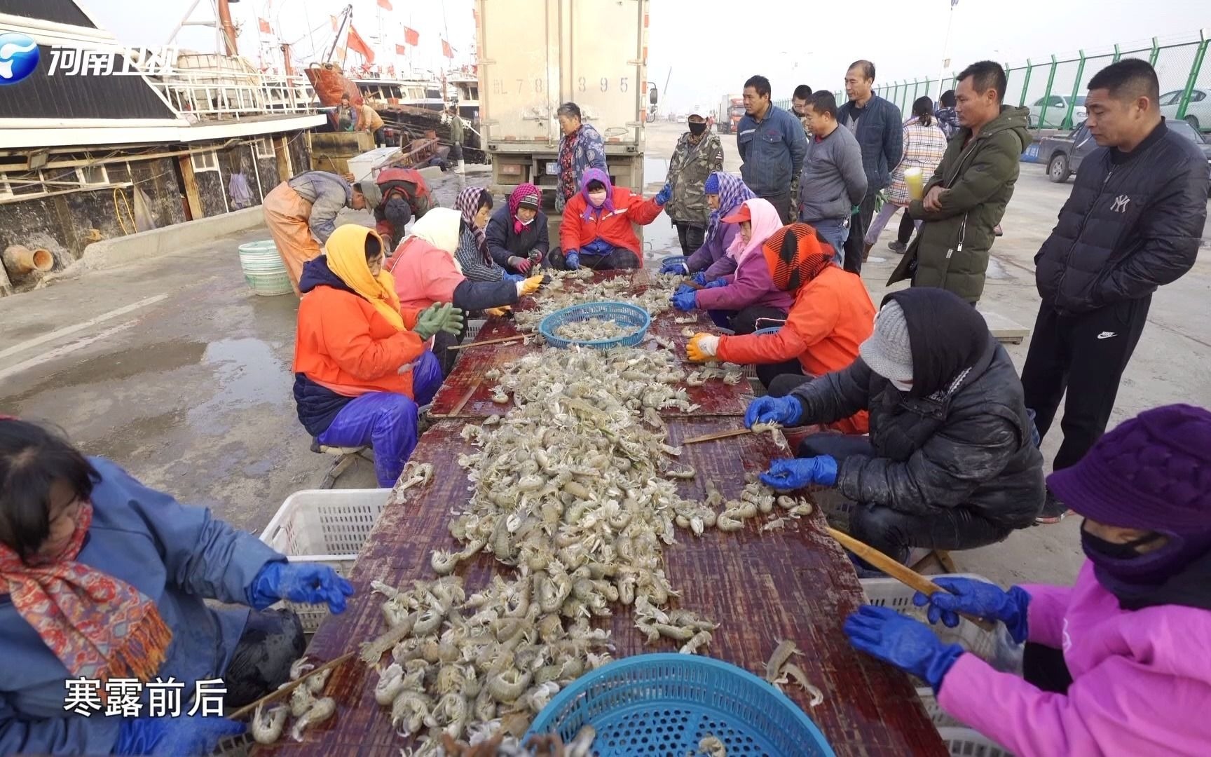 [图]【黄河人家】第四集 纳新