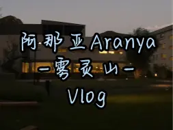 Download Video: 🌲【vlog】一天时间享受生活｜阿那亚Aranya「雾灵山」