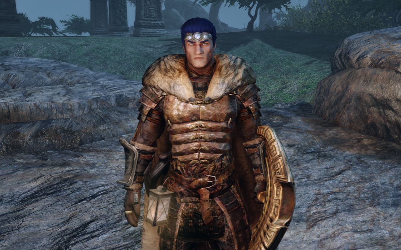 上古卷轴5:单手持盾战士