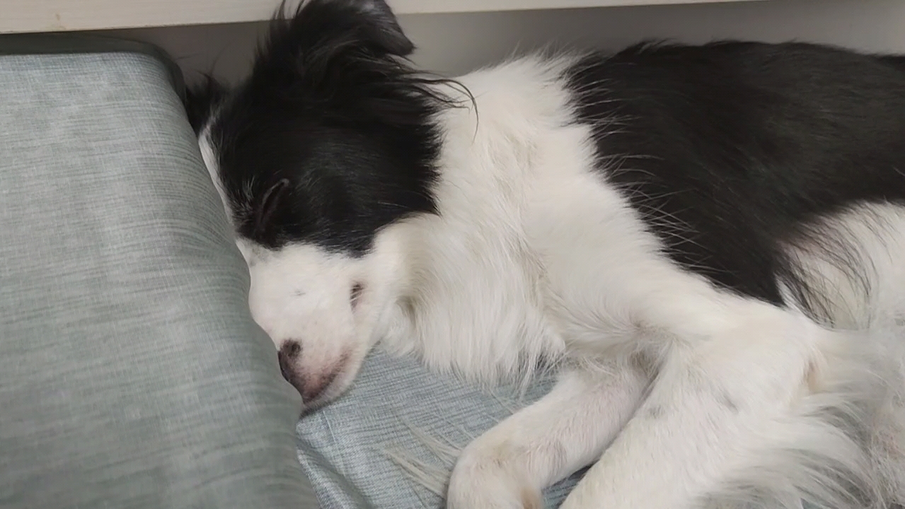 这也太自觉了哇