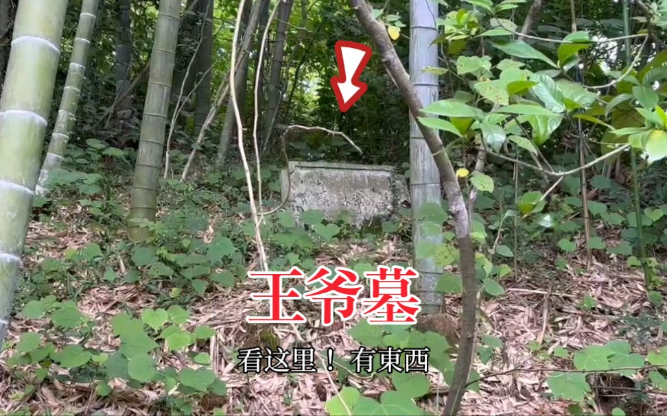 湖北大山里找到一座明朝王爷墓,山体塌陷了一个大坑!哔哩哔哩bilibili