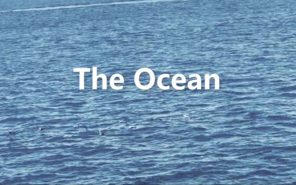 【影视剪辑】如何用指定垃圾素材一小时内混剪人文短片《The Ocean》哔哩哔哩bilibili