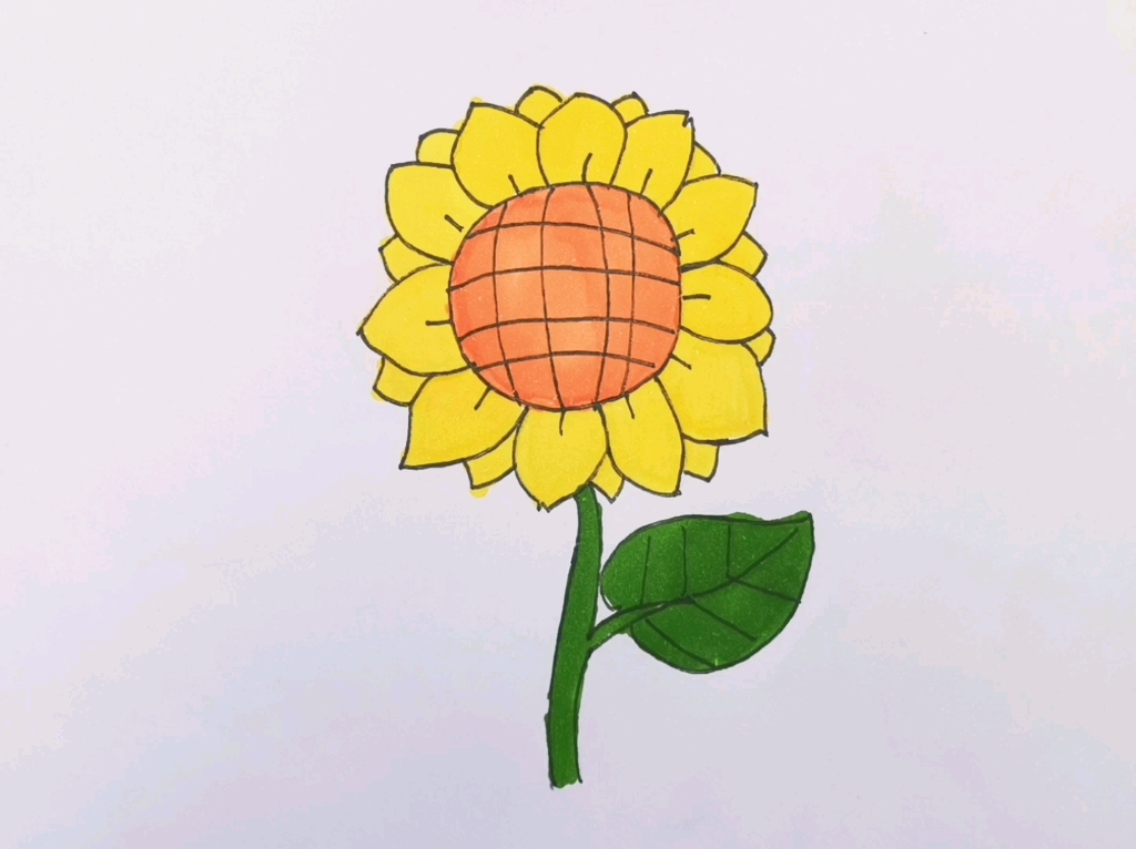 向日葵的图画笔画图片