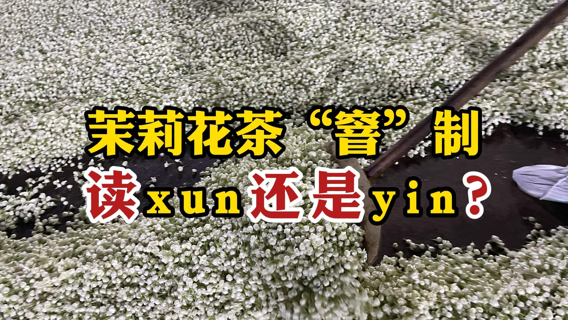 茉莉花茶“窨”制,是读“xun”还是读“yin”?90%的人都念错哔哩哔哩bilibili