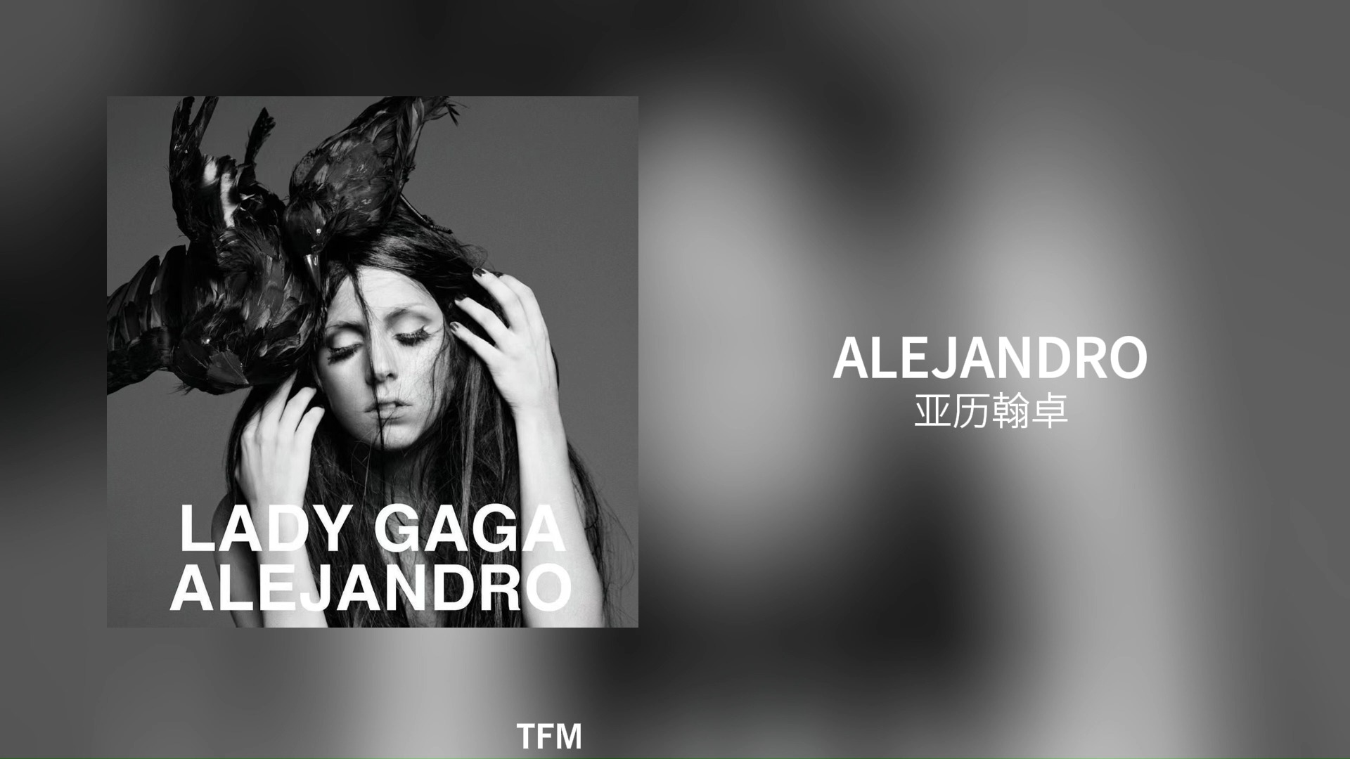 [图]【Lady Gaga】Alejandro音乐录像带音频