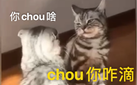 [图]猫: 中  华  有  神  喵