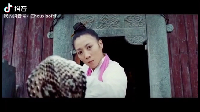 周小飞电影合辑功夫梦一代宗师欧洲攻略征途摆渡人杨门女将巫师镇