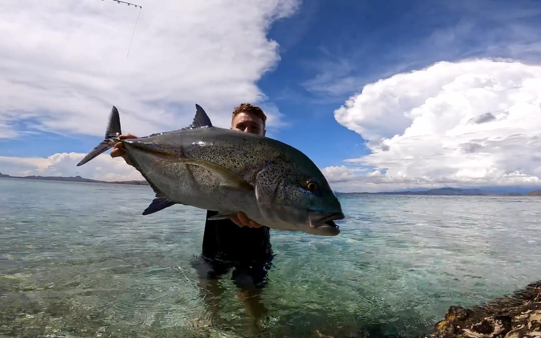 小伙海岛生活——徒手抓鲨鱼