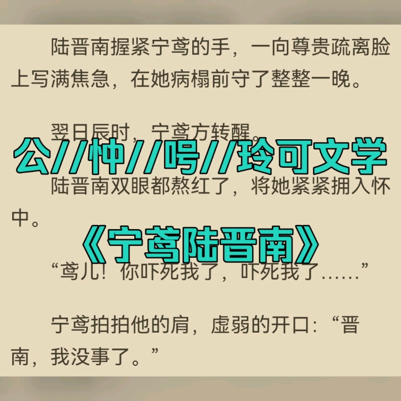 宝藏必读言情小说分享《宁鸢陆晋南》又名《宁鸢陆晋南》哔哩哔哩bilibili