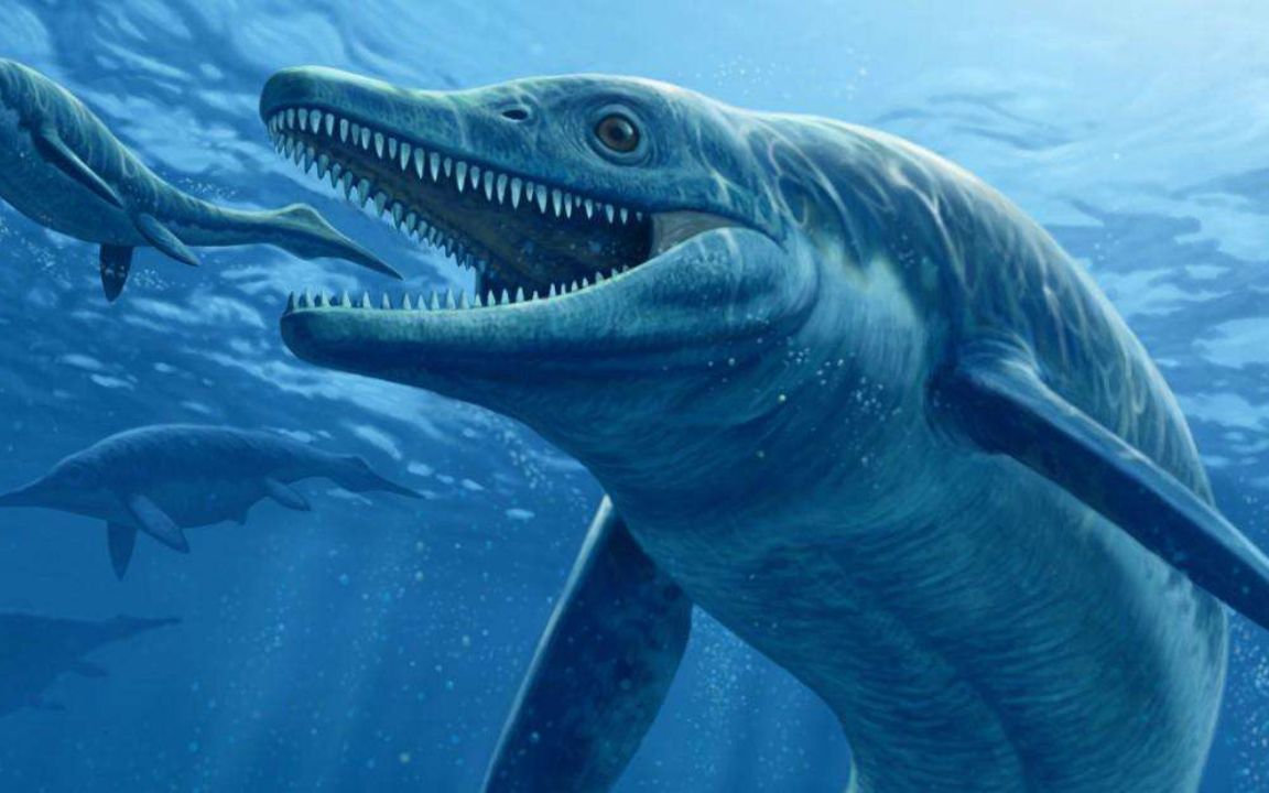 7000万年远古巨兽被发现,加拿大挖出海王龙化石_哔哩哔