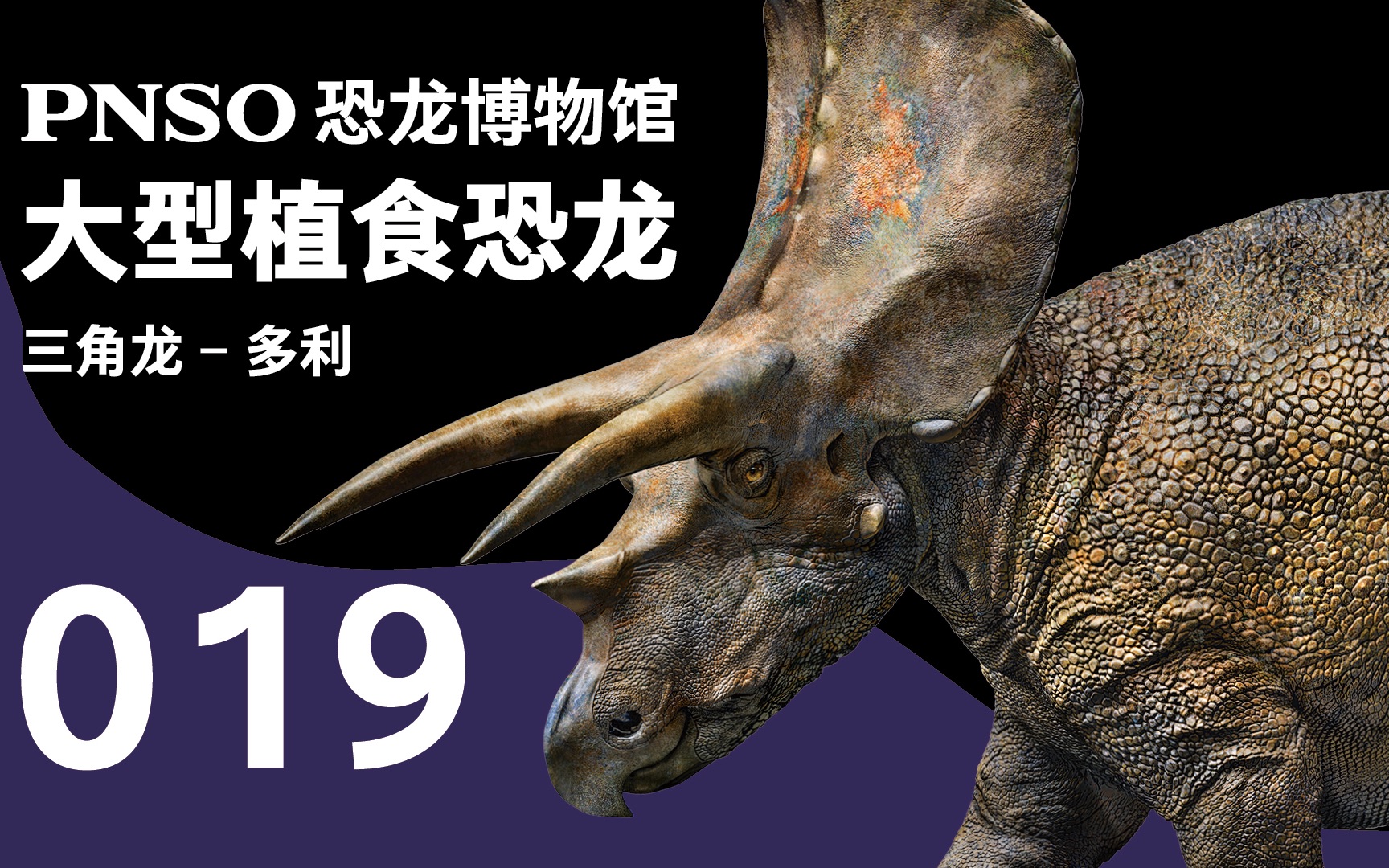 pnso恐龙博物馆三分钟带你认识一种恐龙三角龙多利
