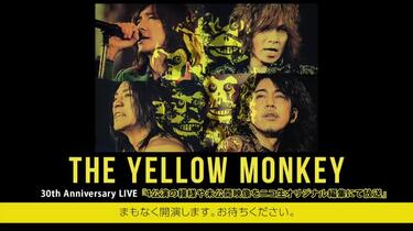 THE YELLOW MONKEY 30th Anniversary LIVE 【4公演の模様や未
