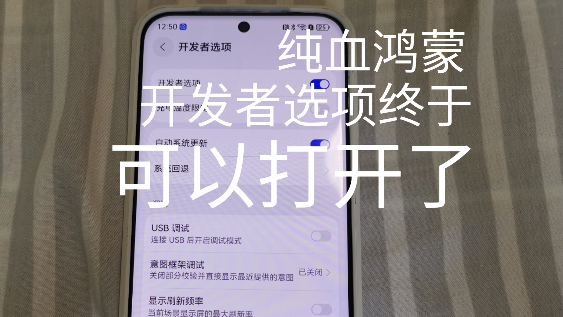 终于打开开发者选项了