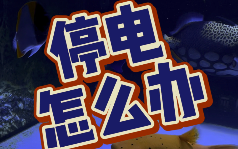 冬天停电,家里鱼缸该怎么保温,欢迎大家在评论区讨论#停电 #鱼缸