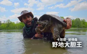 Скачать видео: 【纪录片】卡悠提·彼得森：野地大胆王 13 德州传奇乌龟