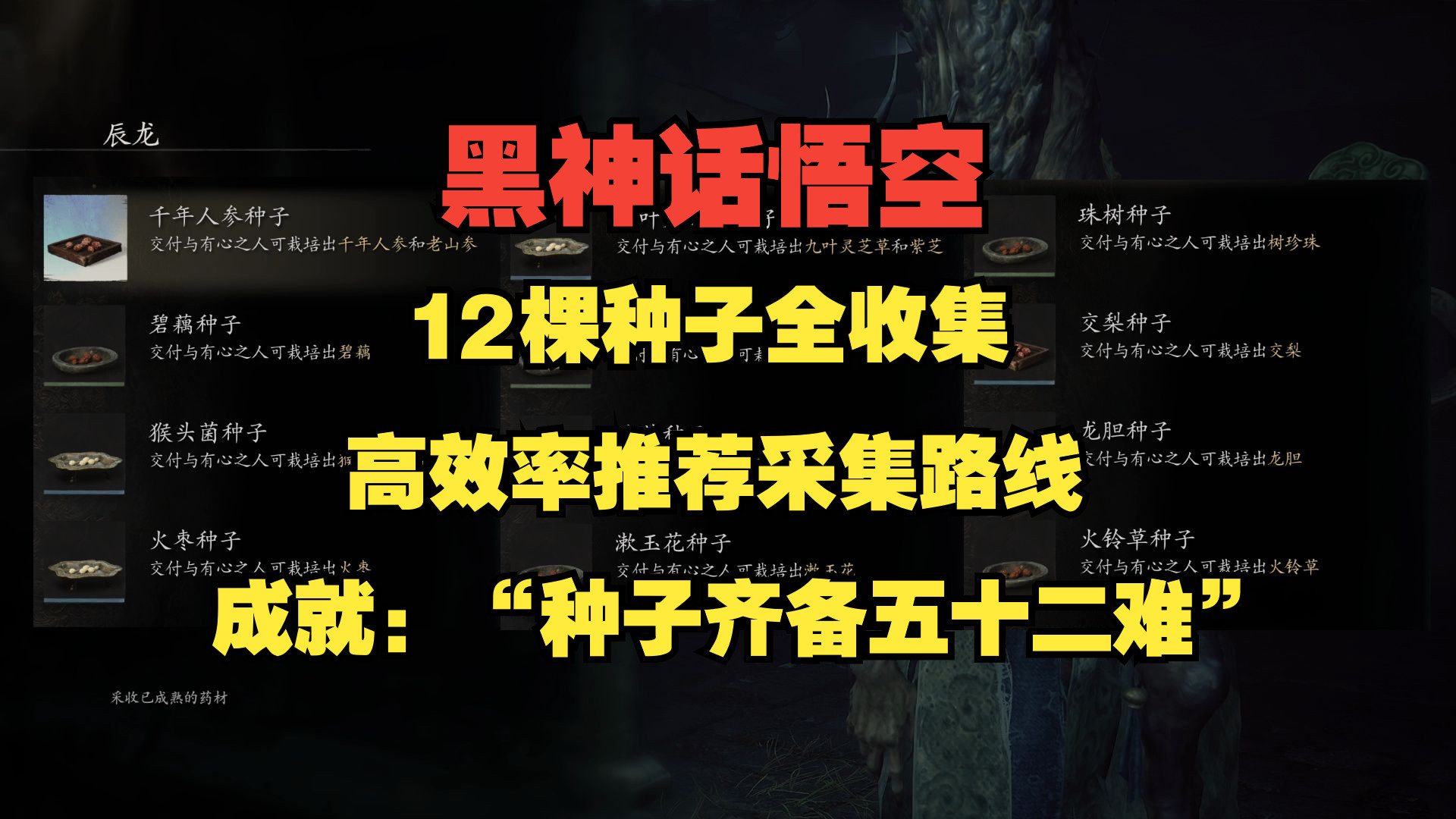 【黑神话悟空】12棵种子全收集(推荐路线均为土地庙附近高聚集区 ) 解锁成就“种子齐备五十二难”以及酒食蕙性兰获取方式逐一讲解单机游戏热门视频