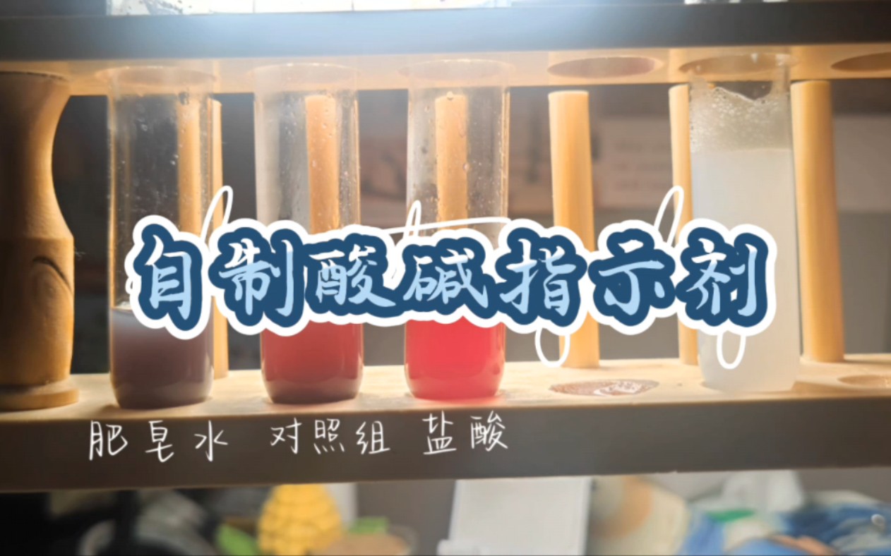 蓝莓皮自制酸碱指示剂